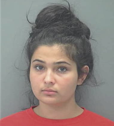 Clementina Matias-Jeronimo, - Lee County, FL 