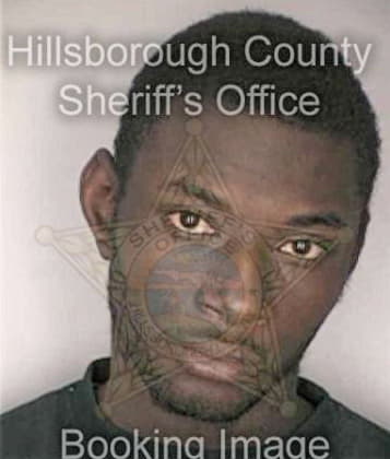 David McArthur - Hillsborough County, FL 