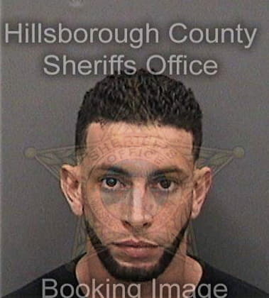 Henry Meyer - Hillsborough County, FL 
