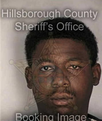 Seque Mitchell - Hillsborough County, FL 