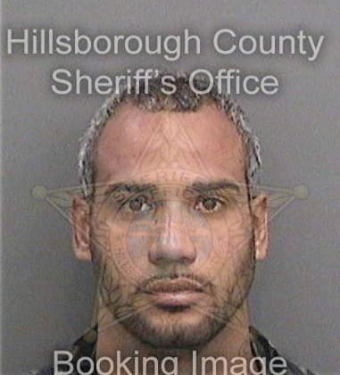 Luis Partagasalfonso - Hillsborough County, FL 
