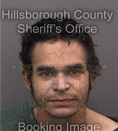 Luis Pineirocapestany, - Hillsborough County, FL 