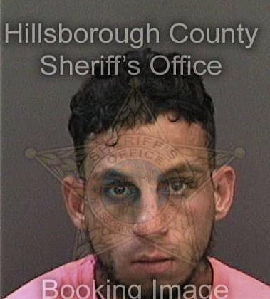 Timothy Turk, - Hillsborough County, FL 