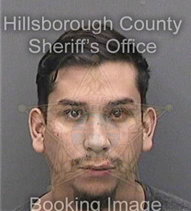 David Bijou - Hillsborough County, FL 