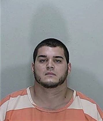 Emerson Ferrufino, - Marion County, FL 