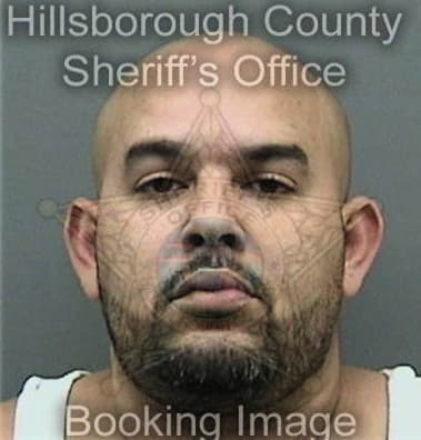 Roberto Henriquez - Hillsborough County, FL 