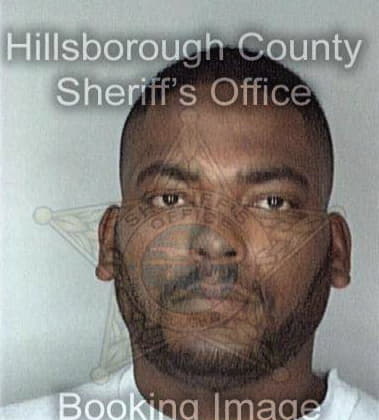 Mirard Laurent, - Hillsborough County, FL 