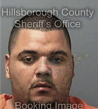 Abel Orasmagarcia, - Hillsborough County, FL 