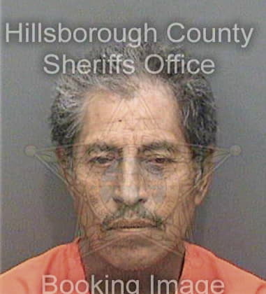 Darwin Palenciacristobal, - Hillsborough County, FL 