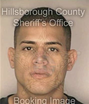 Joshua Rubiani, - Hillsborough County, FL 