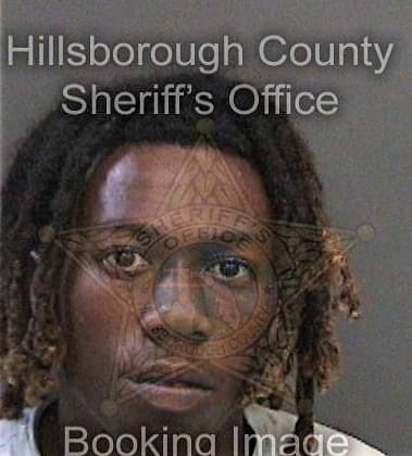 Desmond Williams - Hillsborough County, FL 