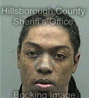 Alfred Bridges - Hillsborough County, FL 