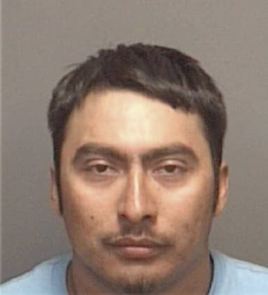 Pedro Delarosa-Martinez, - Pinellas County, FL 