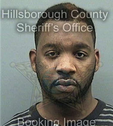 Rashon Ervin, - Hillsborough County, FL 