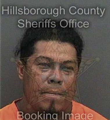 David Middleton - Hillsborough County, FL 