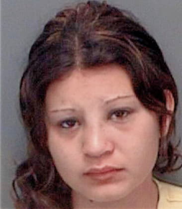 Melissa Smith - Pinellas County, FL 