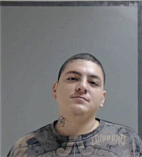 Ricardo Gonzalez-Ibarra, - Hidalgo County, TX 