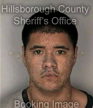 Victor Suarez, - Hillsborough County, FL 