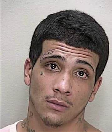 Luis Vazquez, - Marion County, FL 