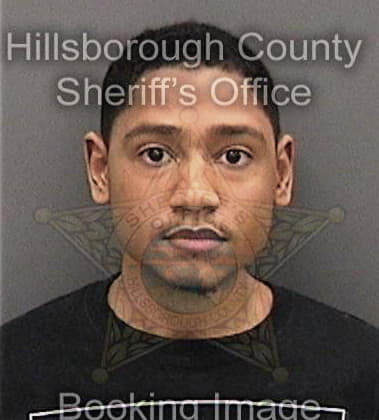 Leroy Woodard, - Hillsborough County, FL 