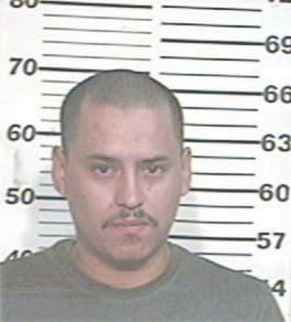 Rogelio-Zapata Arellano, - Hidalgo County, TX 