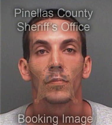 David Brezger, - Pinellas County, FL 