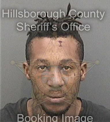 Brandon Brown, - Hillsborough County, FL 