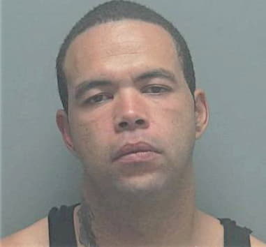 Enrique Elvira-Gonzalez, - Lee County, FL 