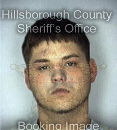 Gregory Henry - Hillsborough County, FL 