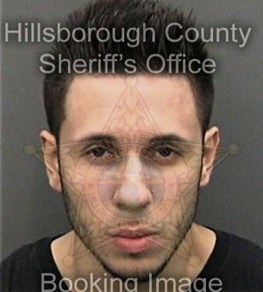 Joshua Stark, - Hillsborough County, FL 