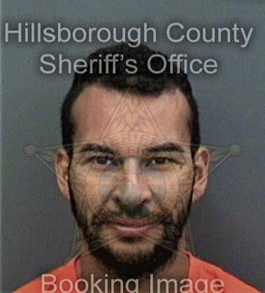 Alexander Vidic, - Hillsborough County, FL 