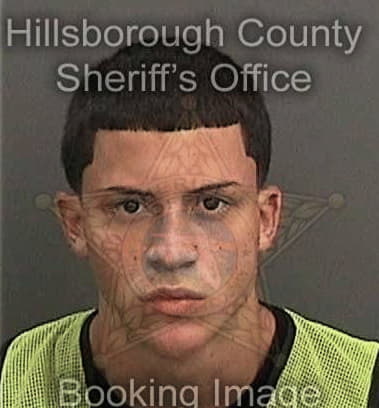 Omar Villar, - Hillsborough County, FL 