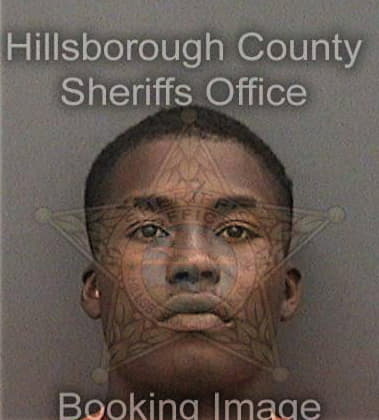Lamarlin Wiggins - Hillsborough County, FL 