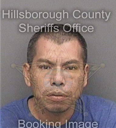 Kenneth Colding - Hillsborough County, FL 