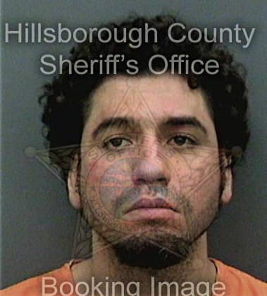 Ivan Demidov, - Hillsborough County, FL 