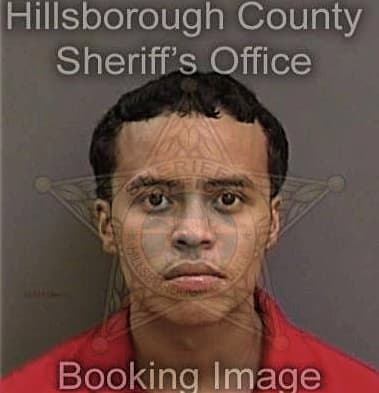 Hugo Garduno, - Hillsborough County, FL 