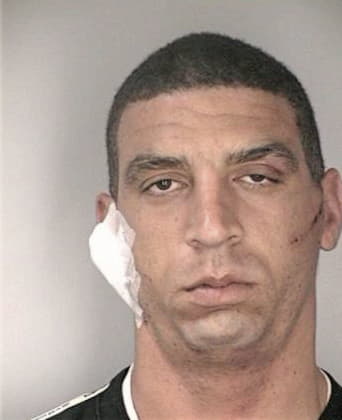 Jose Megido - Hillsborough County, FL 
