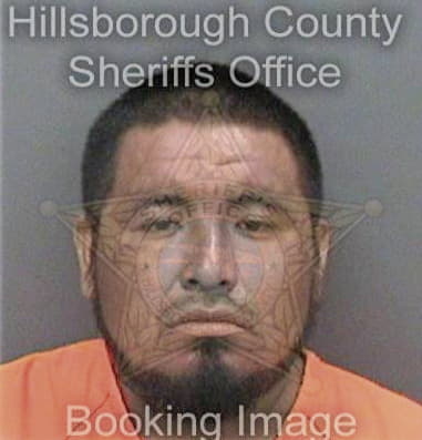 Juan Sanchez-Lopez, - Hillsborough County, FL 