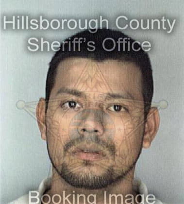 Danny Demetsenare, - Hillsborough County, FL 