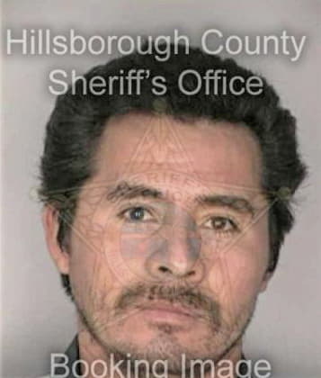 Igacio Hernandez - Hillsborough County, FL 