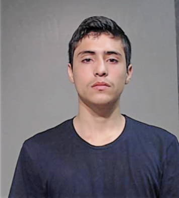 Cristian Perez, - Hidalgo County, TX 