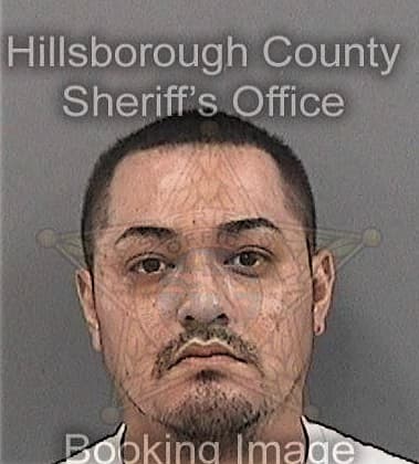 Steven Ackert, - Hillsborough County, FL 