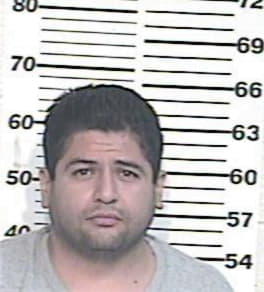 Jesus Castillo, - Hidalgo County, TX 