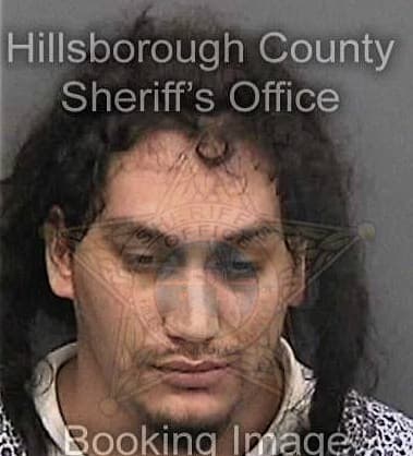 Hector Collazos - Hillsborough County, FL 