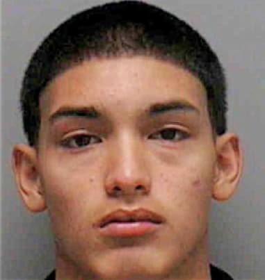 Hector Espinoza, - Lee County, FL 