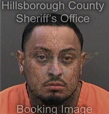 Daniel Ferrone, - Hillsborough County, FL 