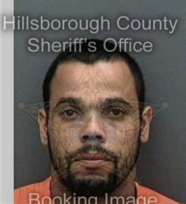 Miguel Hernandez - Hillsborough County, FL 
