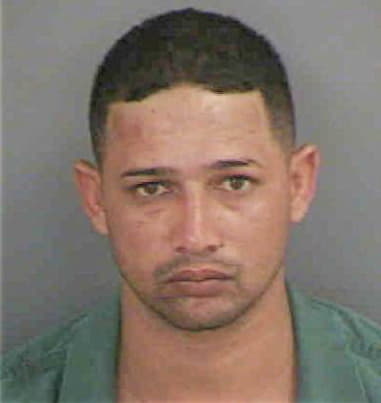 Yonny Reynoso, - Collier County, FL 