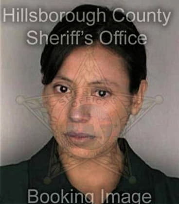 Linda Ayalarosado, - Hillsborough County, FL 