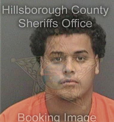 Arnulfo Esteban-Feliciano, - Hillsborough County, FL 